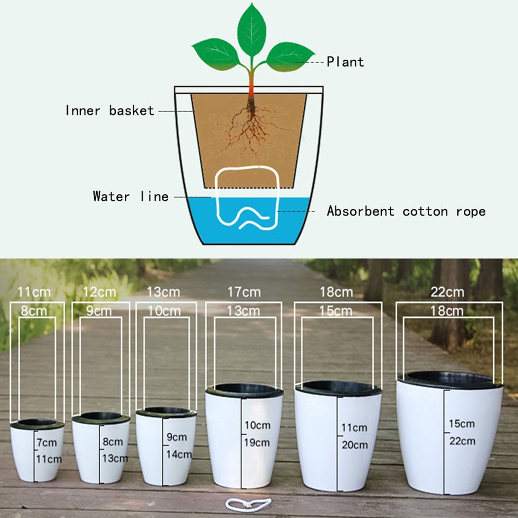 Automatic Watering Flower Plan - Self Watering Insert recension och pris